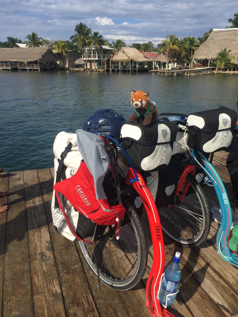 panda na koloběžce