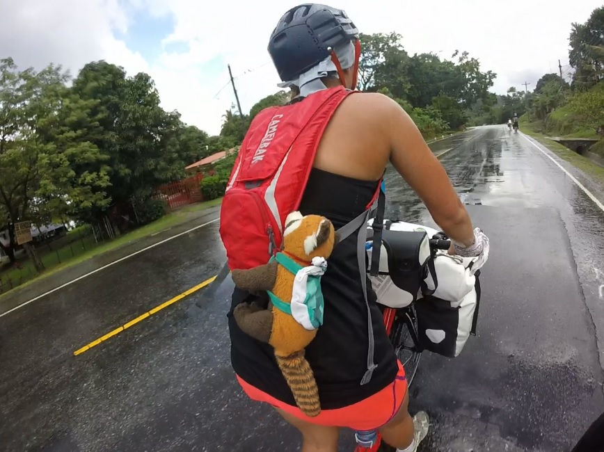 Panda na koloběžce