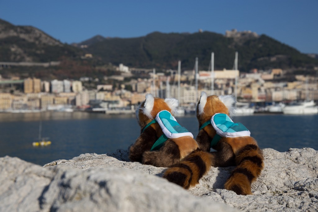 Napionieri pandy Bagalio