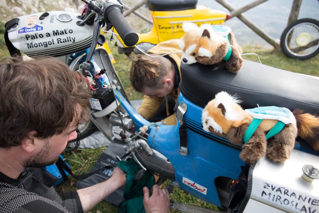 Napionieri pandy Bagalio