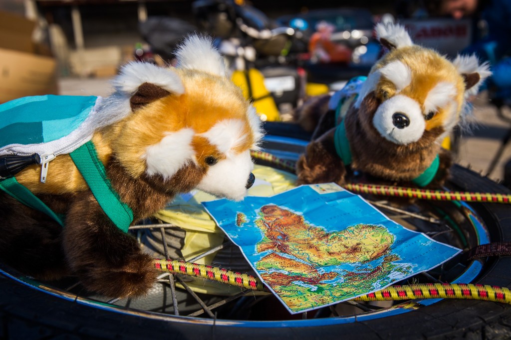 Napionieri pandy Bagalio