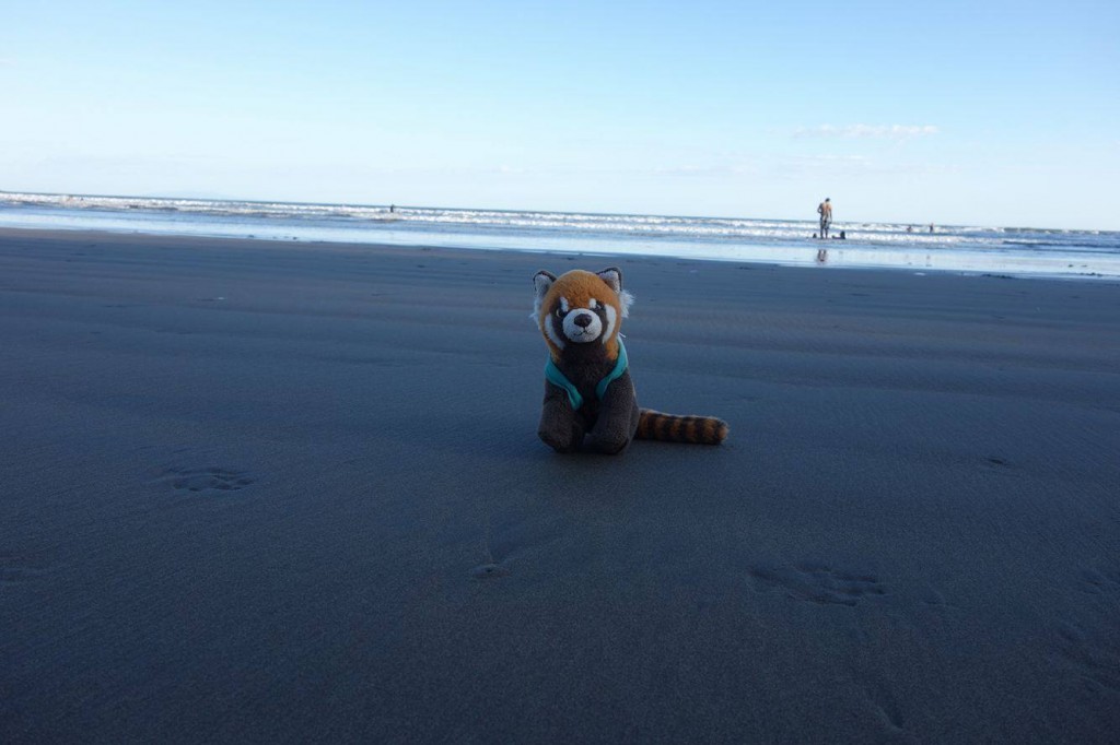 panda na koloběžkách