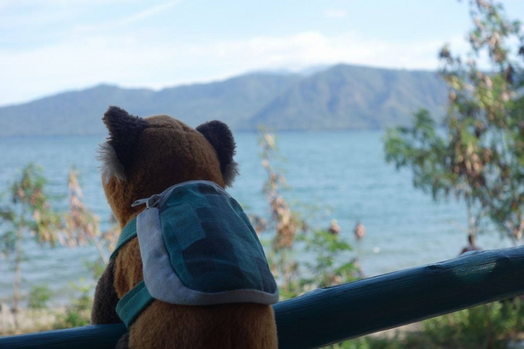 panda na koloběžkách