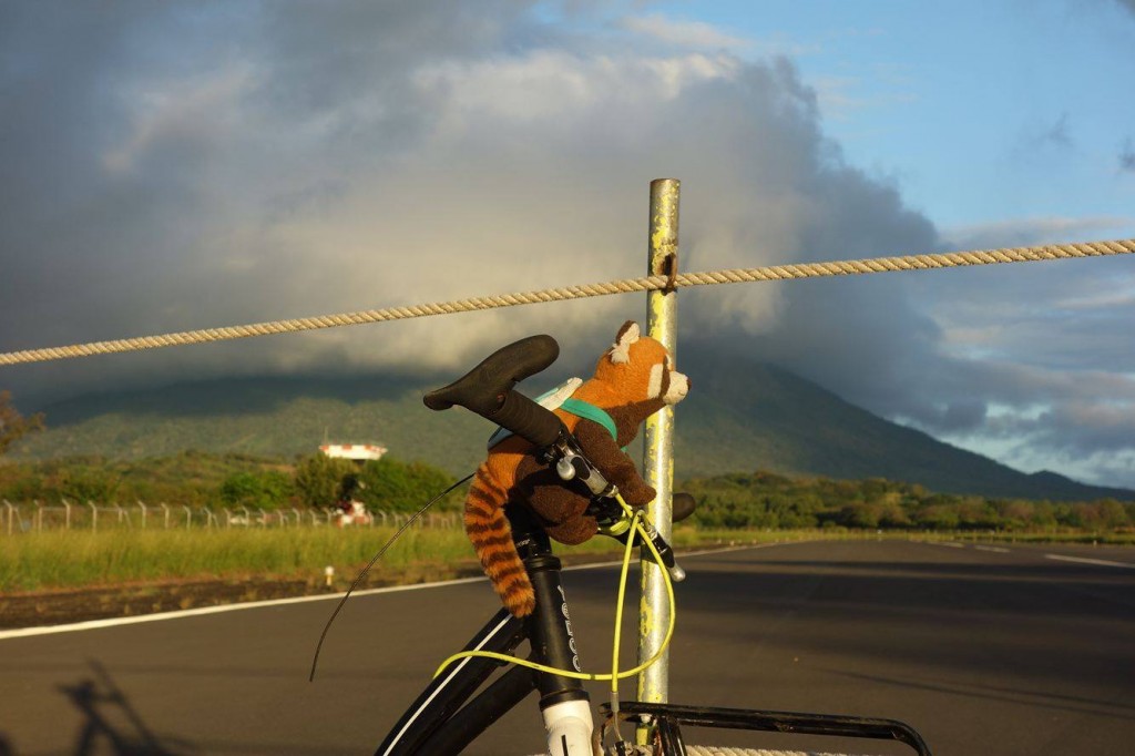 panda na koloběžkách