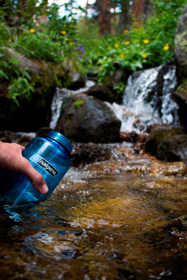 15726740_10154764226776605_7357594731352596097_n