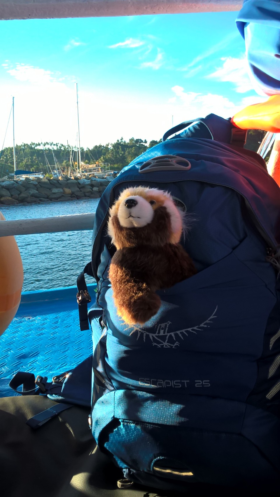 WP_20170128_07_16_00_Pro