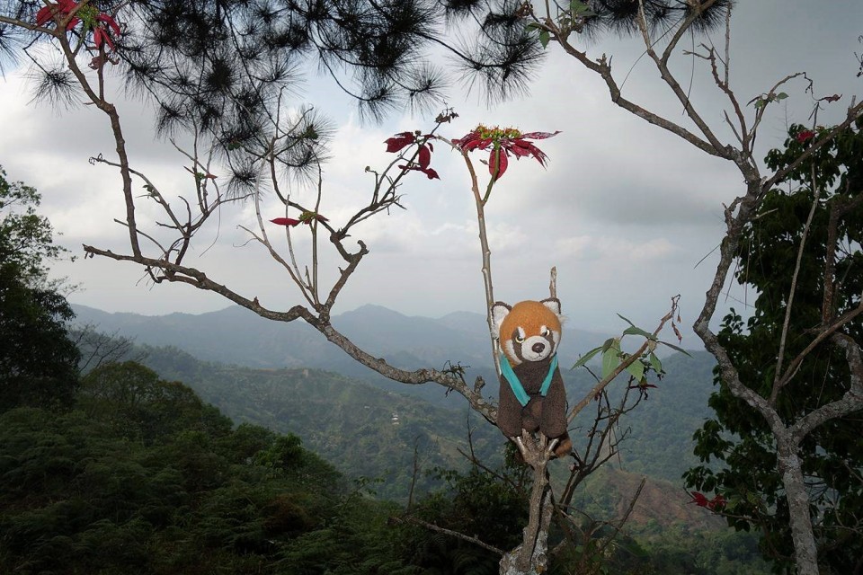 16880796_1400018016685458_2100231765_o