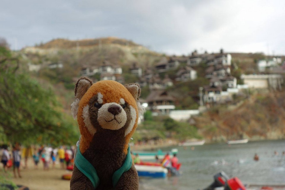 16930368_1400018216685438_1956910925_o