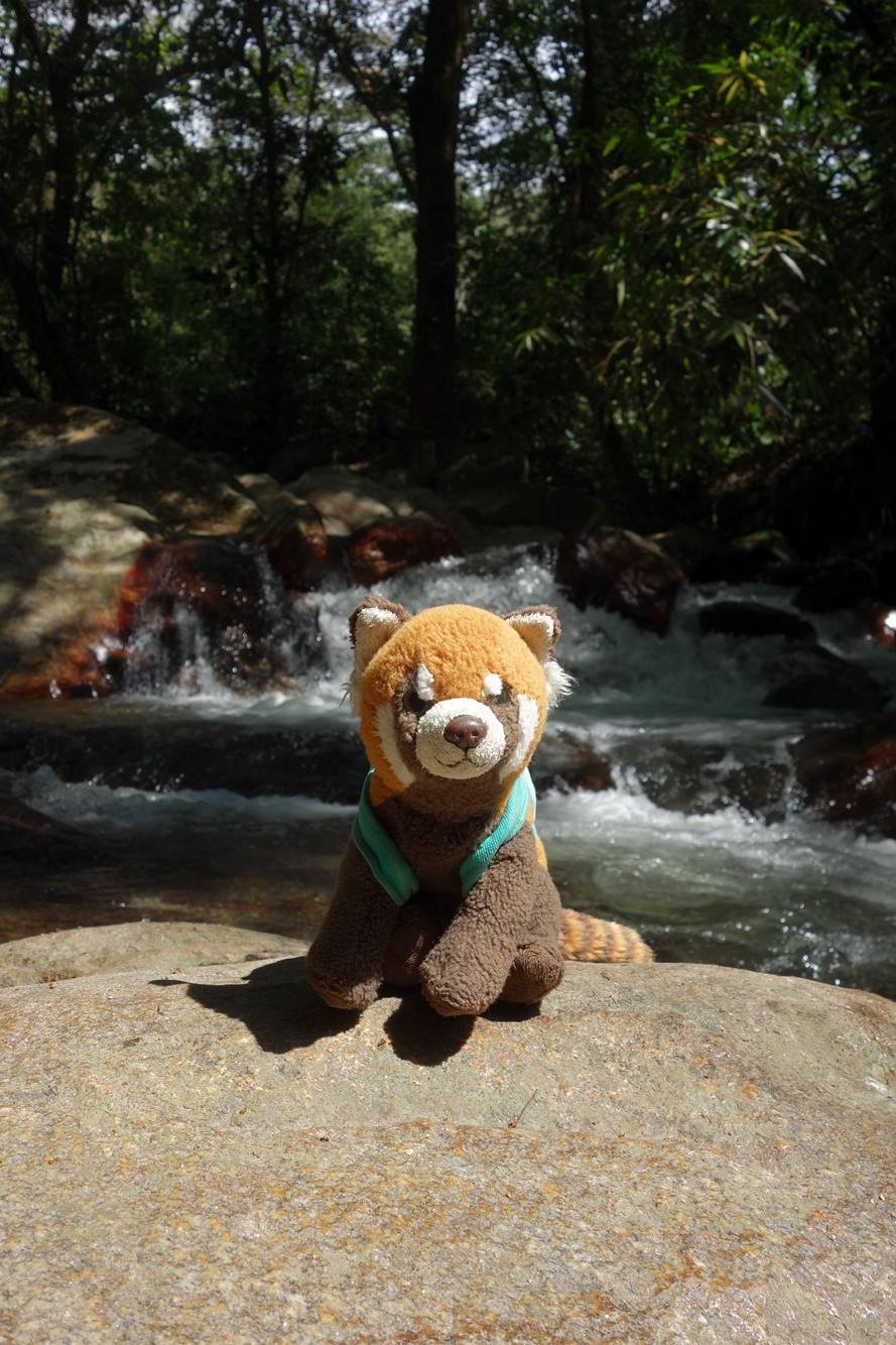 16935879_1400018140018779_1823359641_o