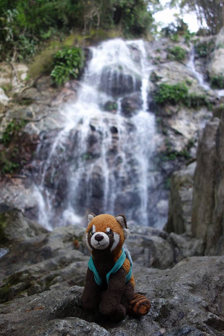 16935949_1400018056685454_102332331_o