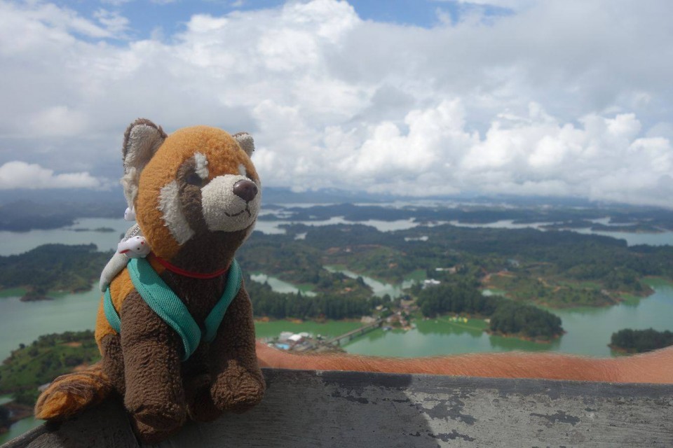 17474343_1424837680870158_128647373_o