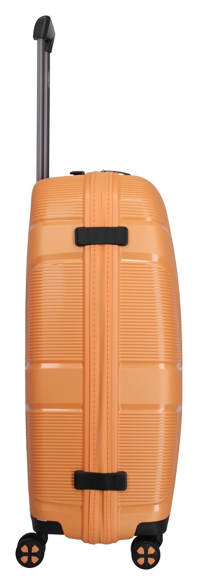 IMPACKT IP1 L Garden apricot - Image 5