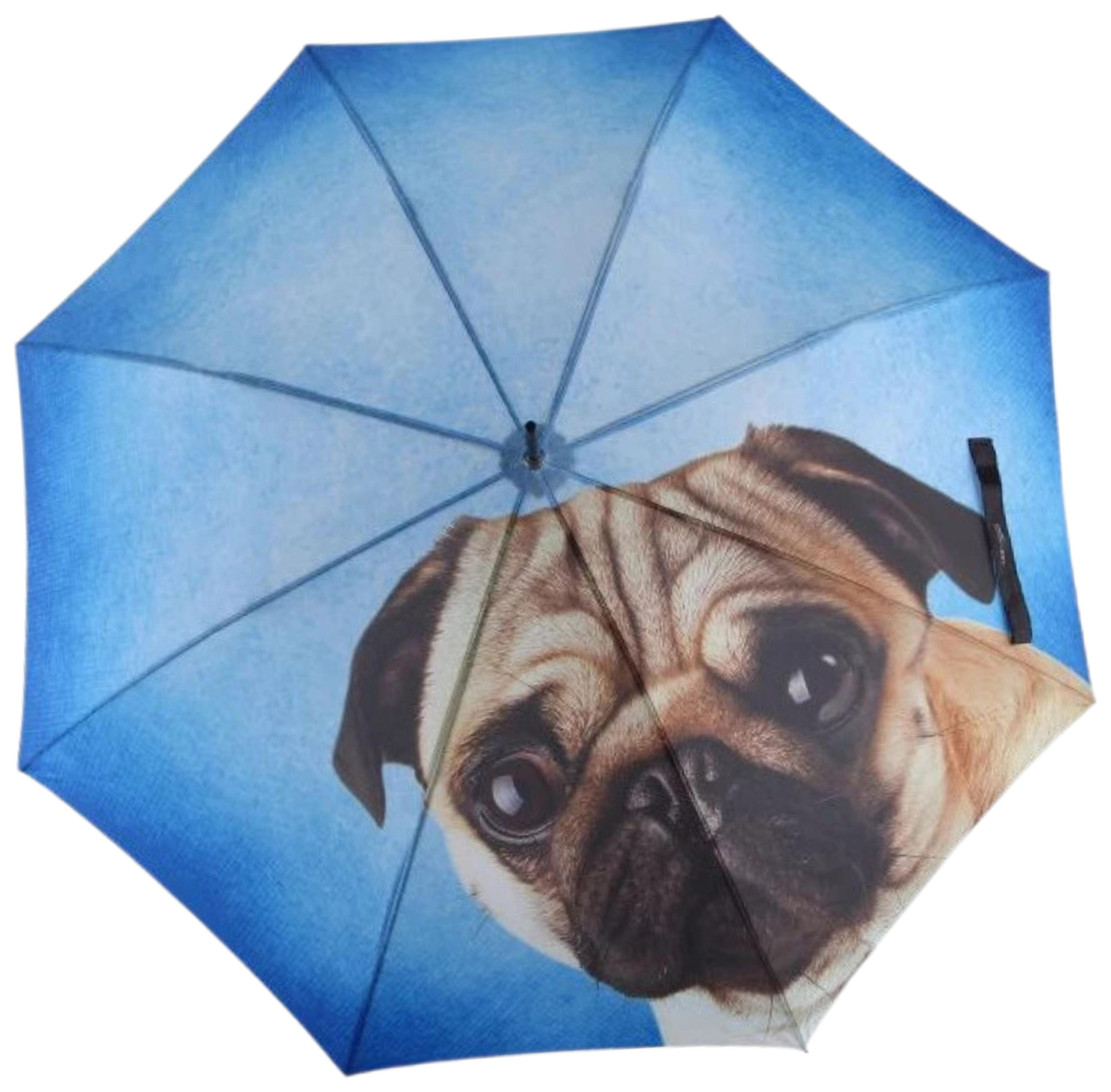 Doppler Modern Art Lazy Dog