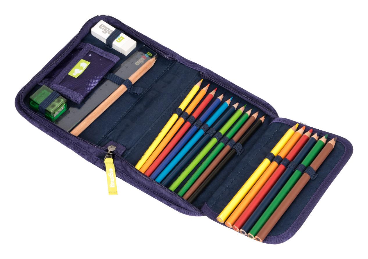 Penál do školy Ergobag Pencil Case Galaxy Purple