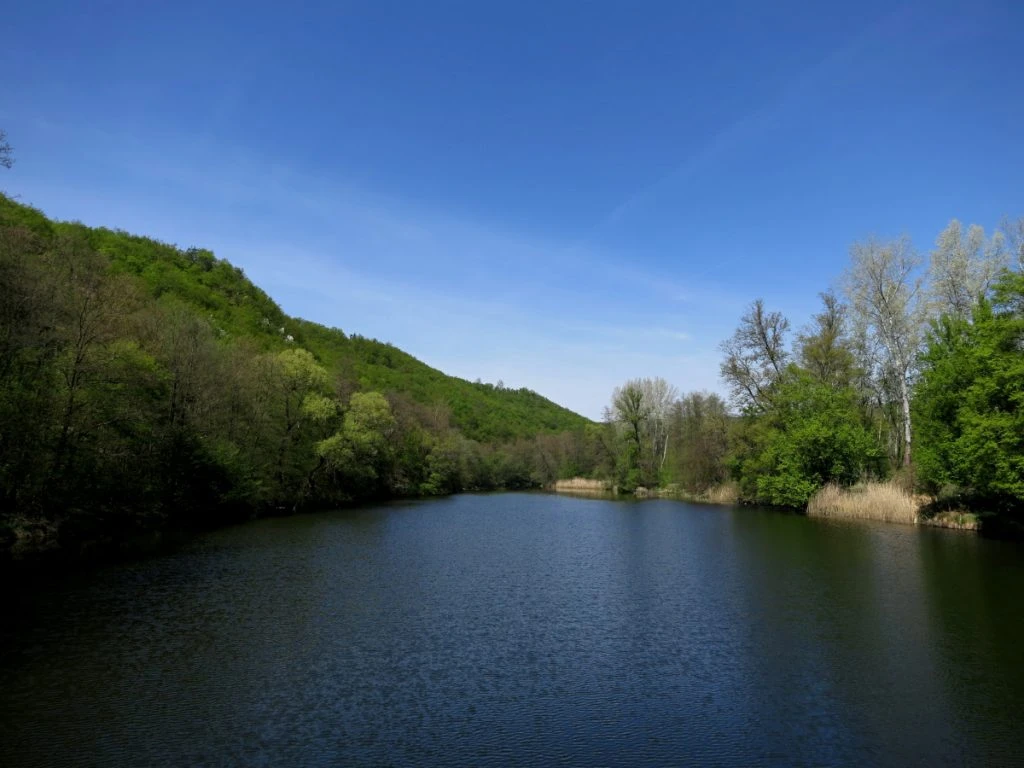 Pohled na řeku Dyji